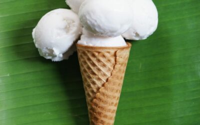 Glace à la noix de coco