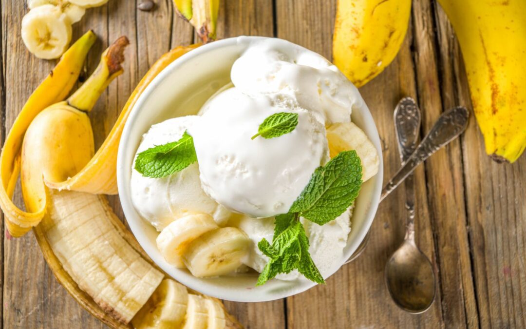 Glace Pour Chien Aux Fruits